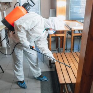 coronavirus-pandemic-disinfector-protective-suit-mask-sprays-disinfectants-house-office_155003-7313