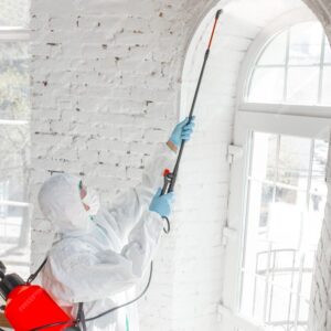 coronavirus-pandemic-disinfector-protective-suit-mask-sprays-disinfectants_489646-11834